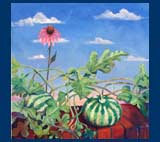 Pumpkin with Echinacea