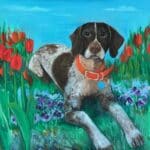 Scout -a sweet german short hair!